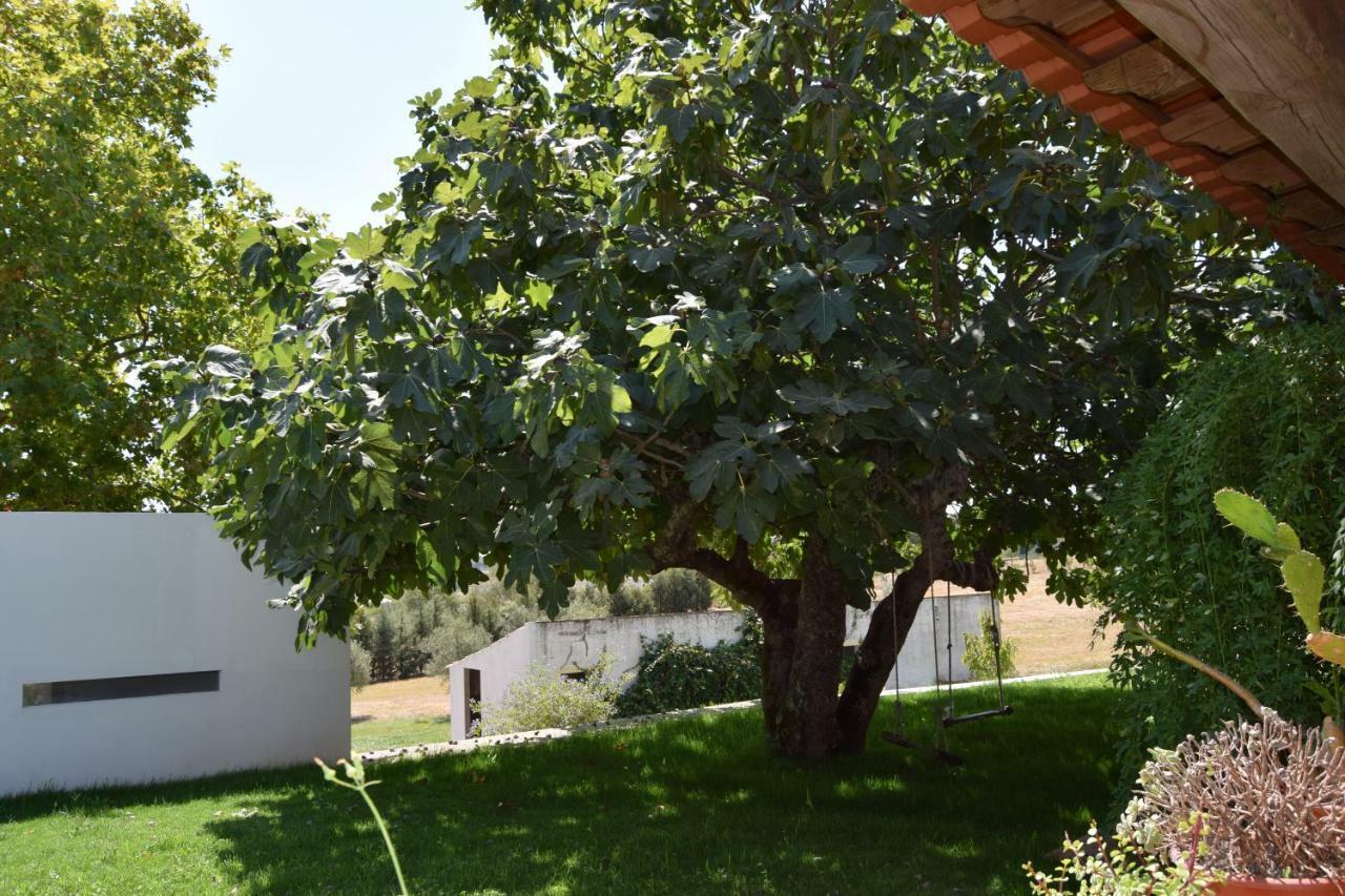 埃武拉Quinta Da Aurora别墅 外观 照片